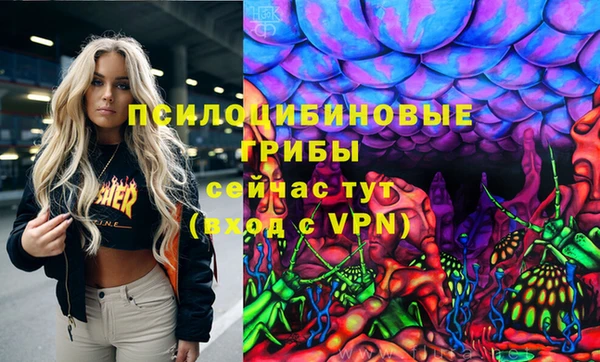 соль ск Наволоки