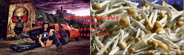 соль ск Наволоки