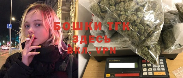 гидра Артём