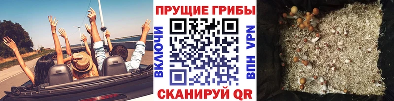 ОМГ ОМГ маркетплейс  Петровск-Забайкальский  Галлюциногенные грибы мицелий 