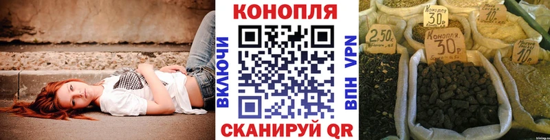 Конопля планчик  Петровск-Забайкальский 